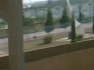 les Bardo Boys arrivent au stade