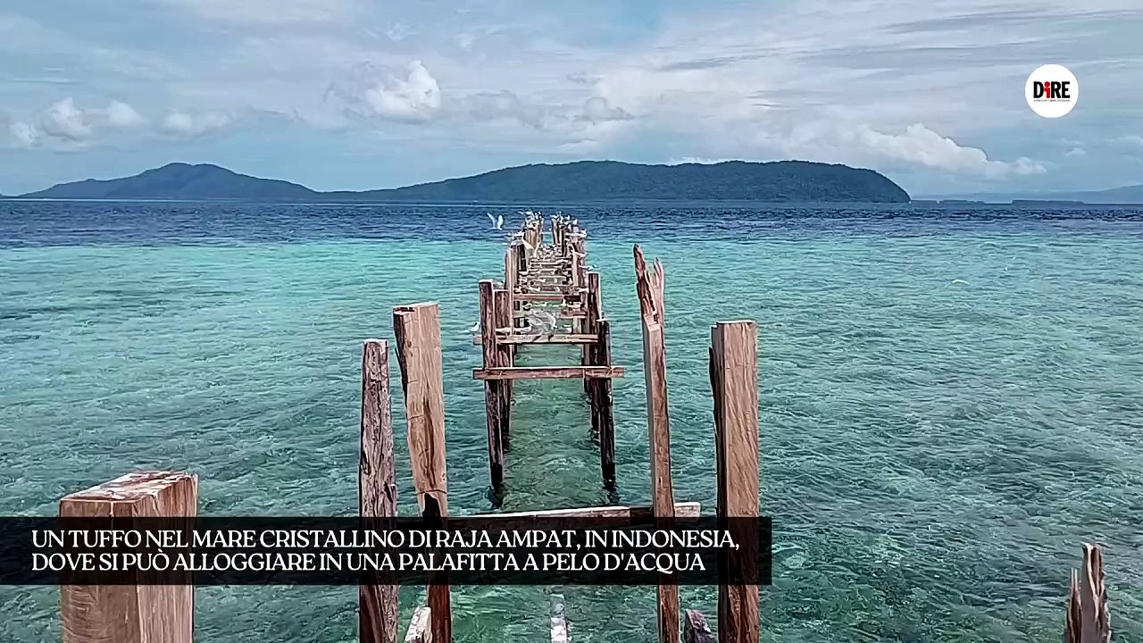 FOTO | VIDEO | Mare cristallino, coralli rari e tantissimi pesci: ecco l'ultimo paradiso di Raja Ampat