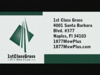 Free Estimate Call: (239) 465-4752 1st Class Grass Lawn ...