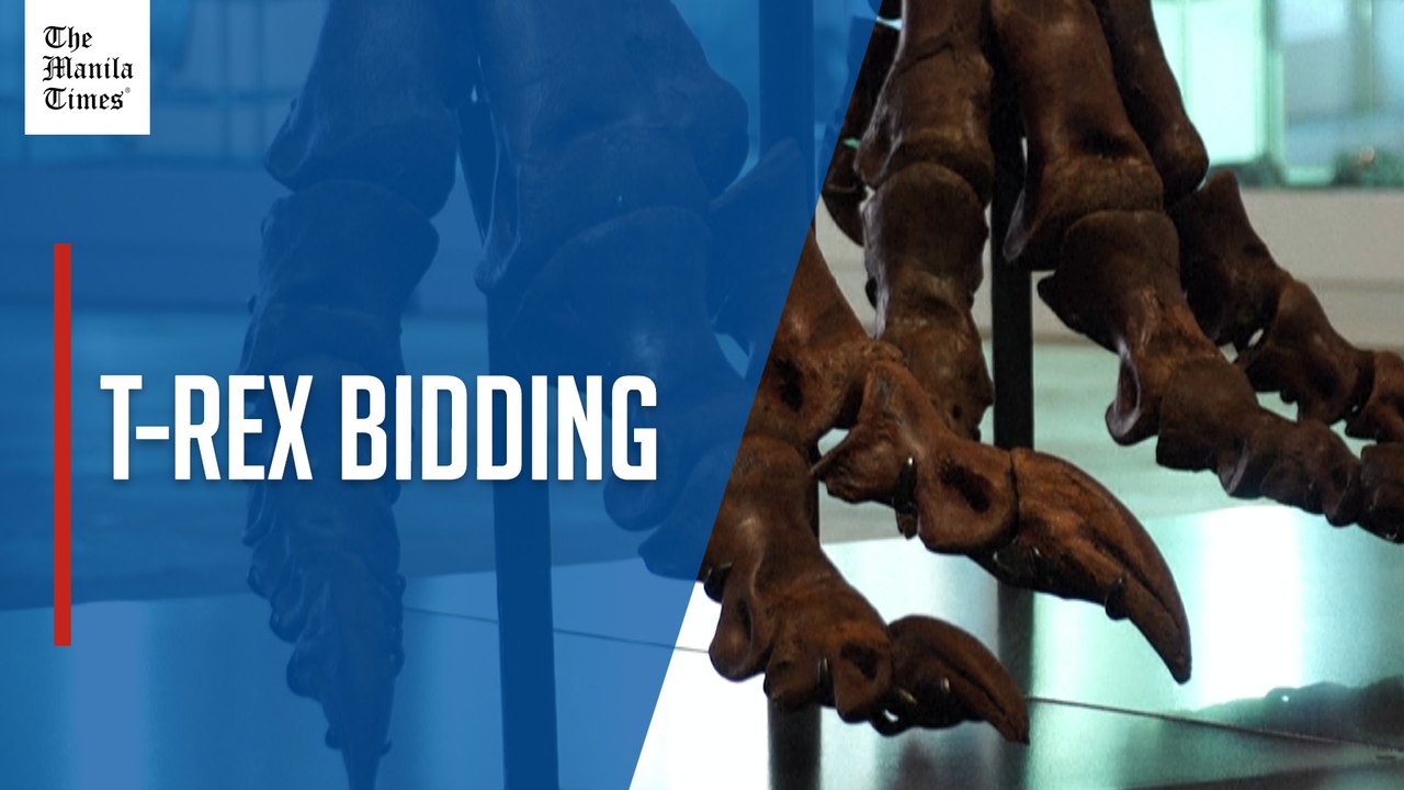 One of the world's most complete T. rex skeletons to be auctioned in New York