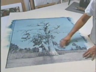 Artist Lorraine Genovar on Florida Wetlands