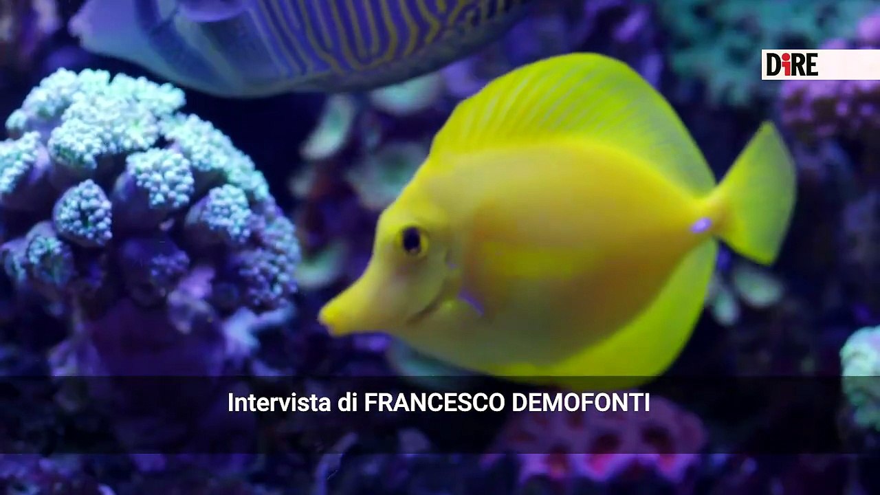 Il cinema racconta il tumore al polmone, ecco 'Oltre il mare'