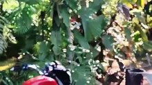 🏍️ No fundo do túnel, eu vejo uma luz... ✝️🔥
