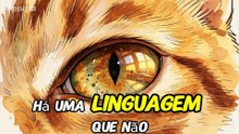 ELES ENTENDEM