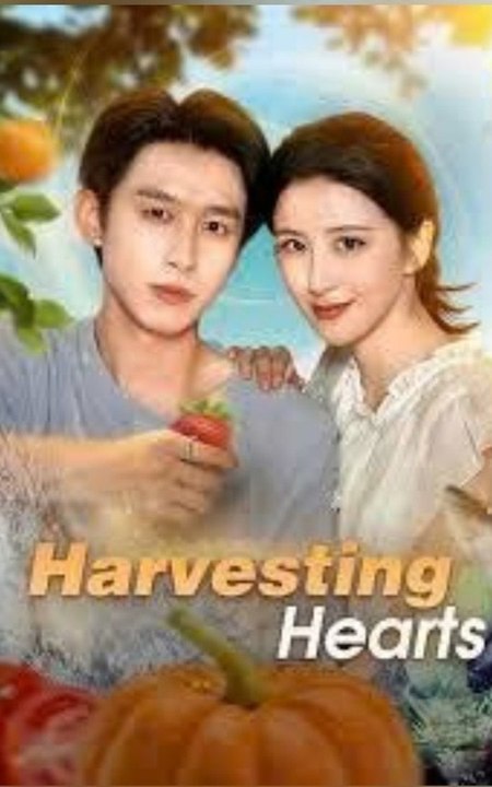 Harvesting Hearts [ Engsub ]