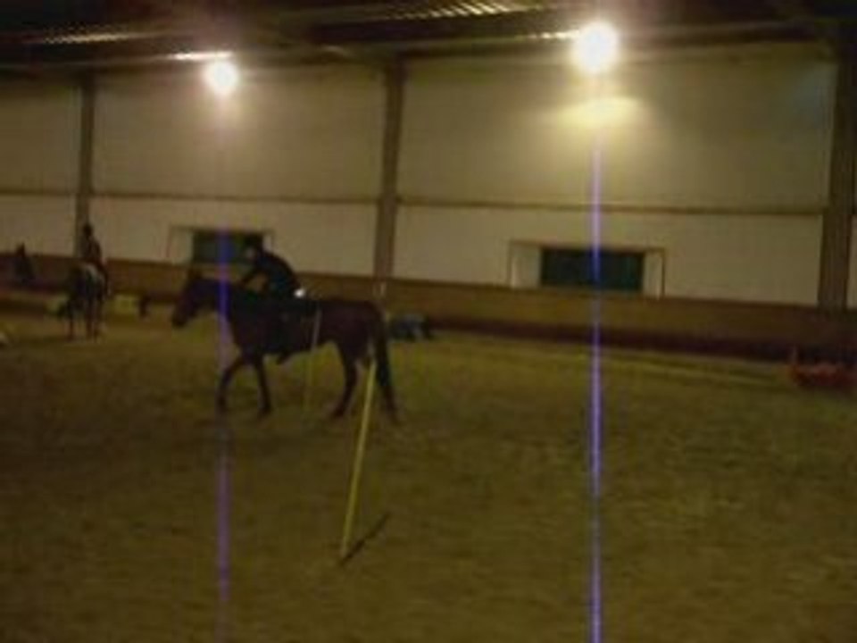 betise ava