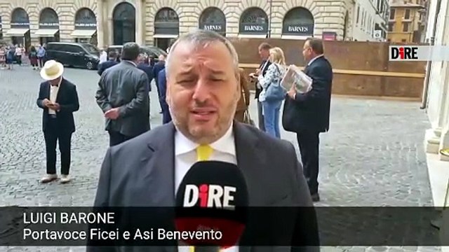 VIDEO | Sud, Asi-Ficei: I consorzi siano protagonisti della Zes Unica