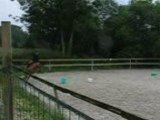Dressage Galop 5