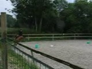 Dressage Galop 5