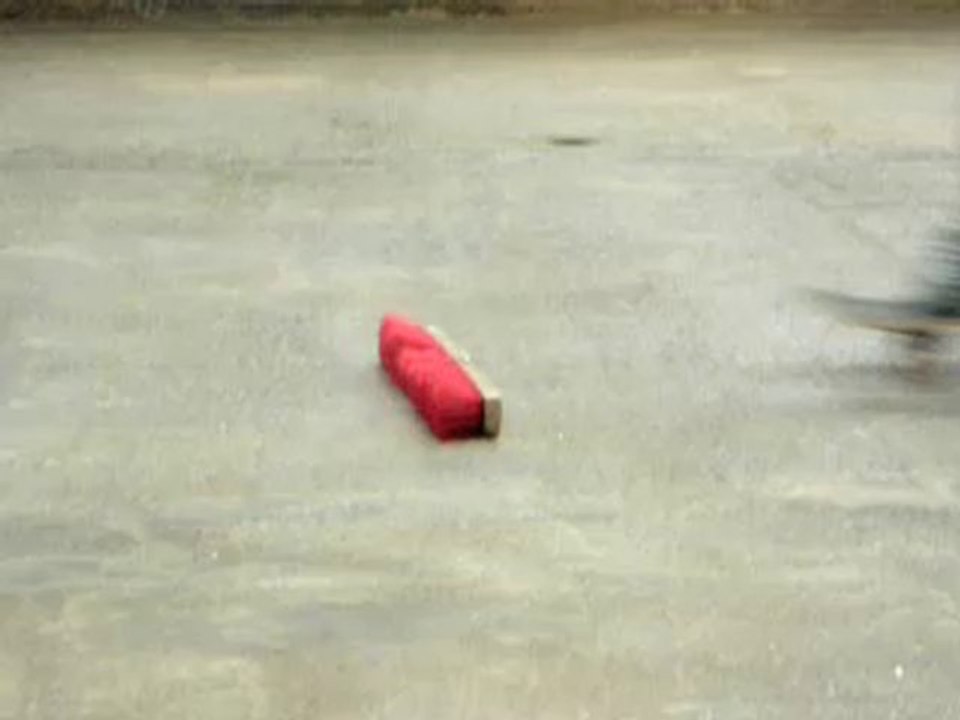 skate : ollie réussis