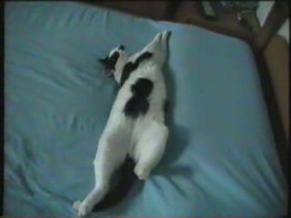 Posizioni insolite    Positions insolites