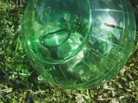 Petit bout des deux jours passés chez Solène