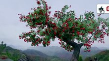 Legend of the Empress Yun-EP-13