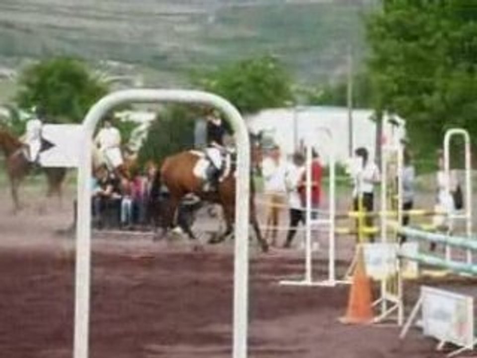 Louise et Noce en concours