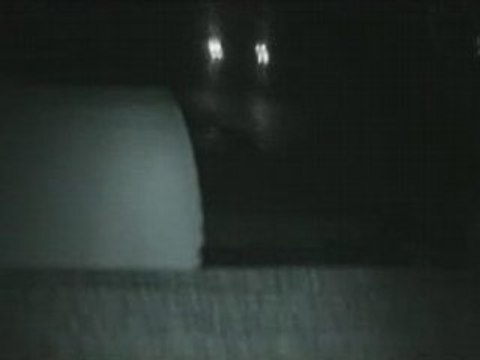 Zx 16v vs clio rs II