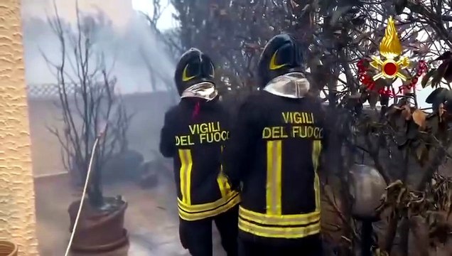 VIDEO | Brucia il Gargano: incendio nel bosco di Baia San Felice, evacuate 540 persone
