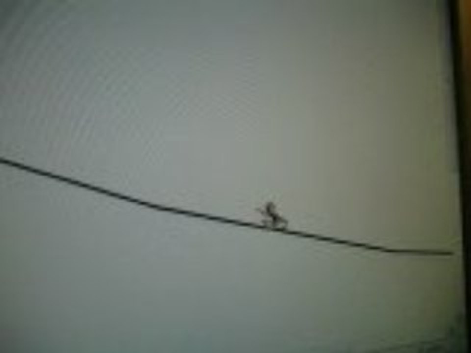 Photo 006