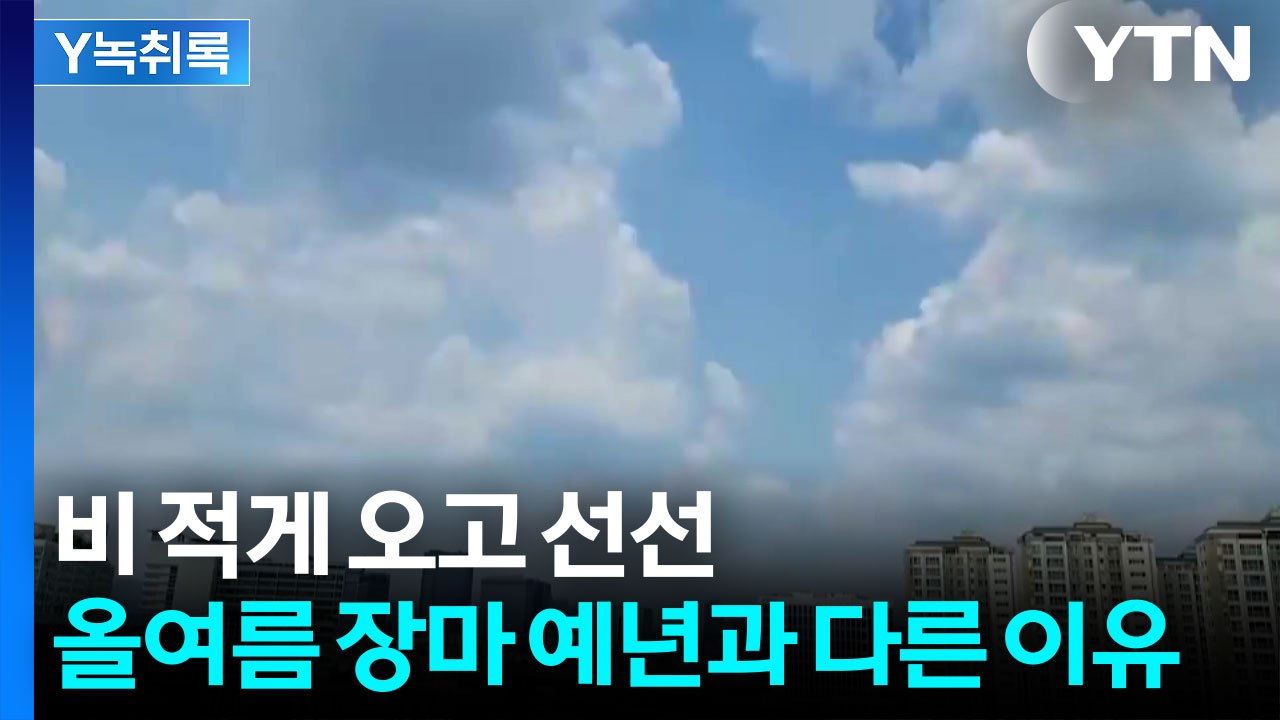 비 적게 오고 선선...올여름 장마, 예년과 다른 이유 [Y녹취록] / YTN