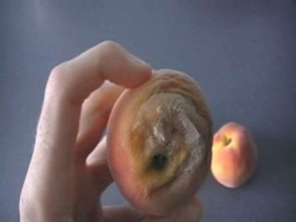 Fruits pas murs et pourris à la fois