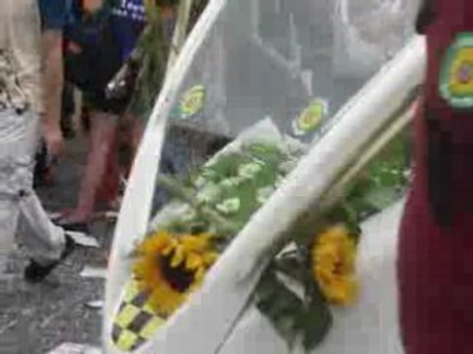 gay pride 2008 : les verts