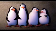 ​"Funny Cartoon Battle: The Chicken vs. The Fish"