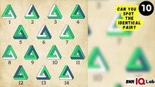 #FindThePair 🔍🔺️ Can You Spot the Identical Pair? 👀