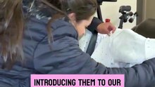 The loving dogs joyfully greet the newborn twins for the very first time