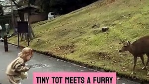 The little child has a heartwarming moment when offering a snack to a curious animal