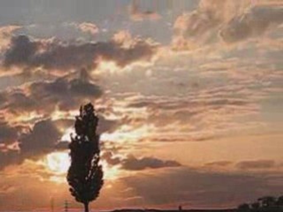 Trex 600 Nitro - Rodage enfin terminé