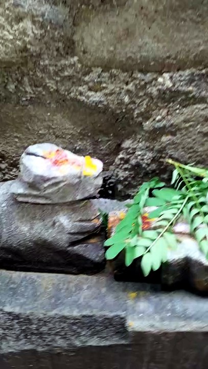 The Grace Of Mahadev