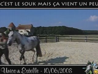 Unico, juin 2008, apprentissage du pas espagnol