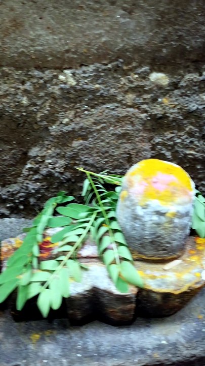 Blessings Of Mahadev