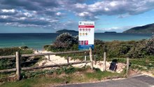 First suspected case of H5 virus detected on NSW Mid North Coast