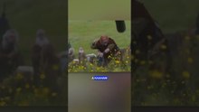Así era la vida en Irlanda