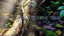 Serpent Path | Jaguar Medicine Tribe