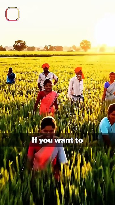 Development Without Sense || Acharya Prashant