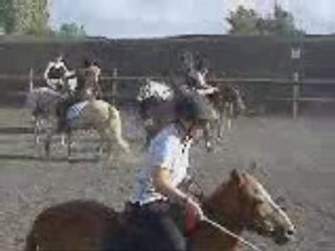 pony games - Petit president