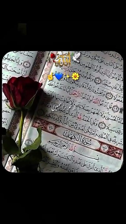 اللہ کتنا رحیم ہے | Heart Touching Islamic Stat...
