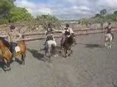 pony games - 5 drapeaux