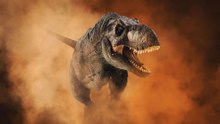 America's 12 Largest Dinosaurs That Once Roamed the Continent