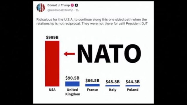 Nato, Trump: Ridicolo che Usa mantengano rapporto non reciproco