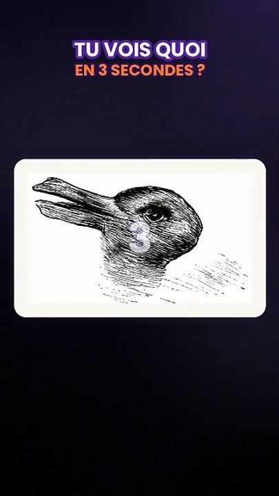 Canard ou lapin ? L'illusion qui rend fou depuis 1892