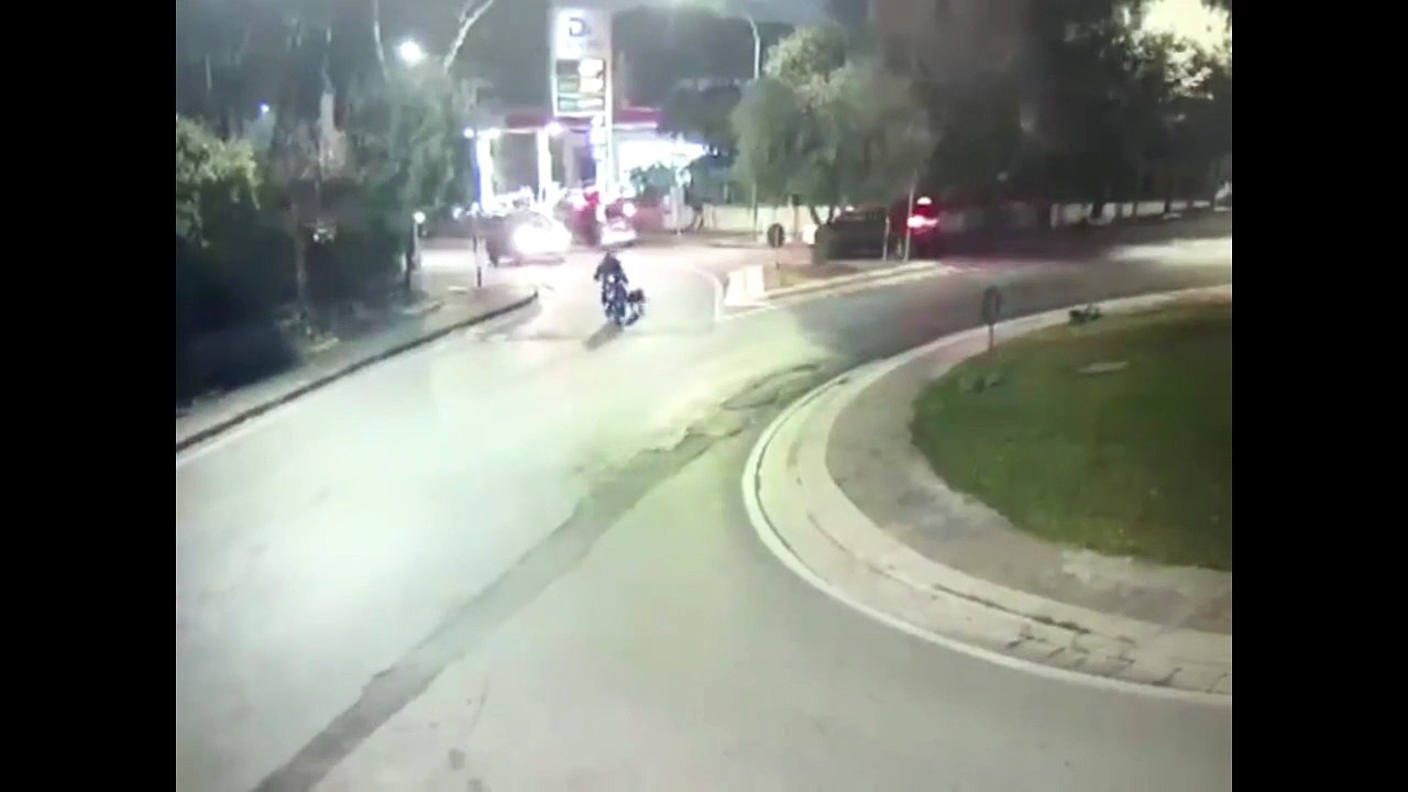 A Napoli un dog sitter in bici trascina un pastore tedesco per 6 km con una catena a strozzo
