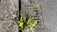 Blocked drains in Kirklees wreak havoc