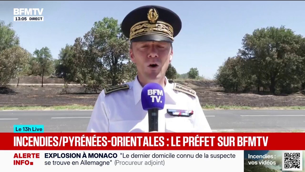"Le feu qui concernait les campings est fixé": dans les Pyrénées-Orientales, "la situation évolue favorablement" assure le préfet