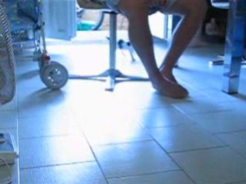 les bébés chatons en bagarre