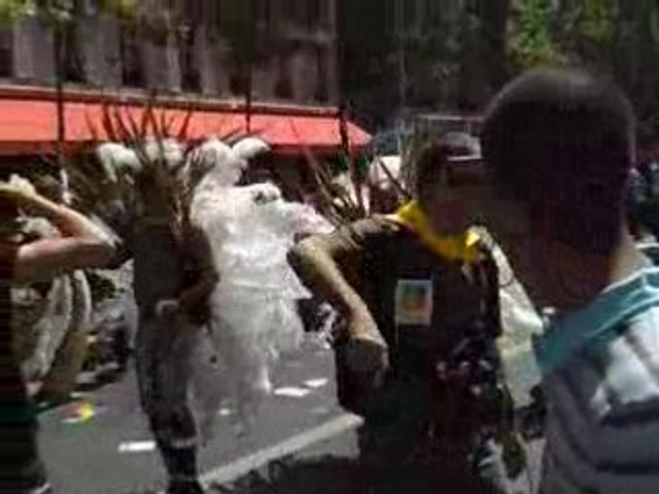 Gay Pride 2008 Paris