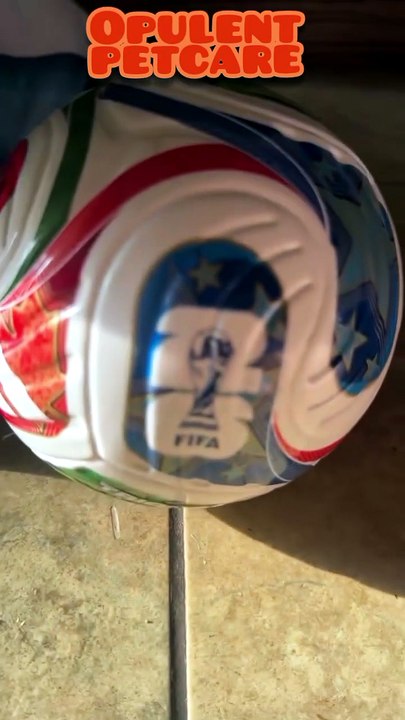 Argentina Dog Jersey