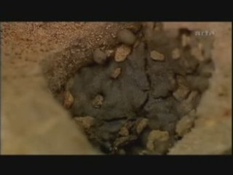 La Fabuleuse Histoire des Excrements.8