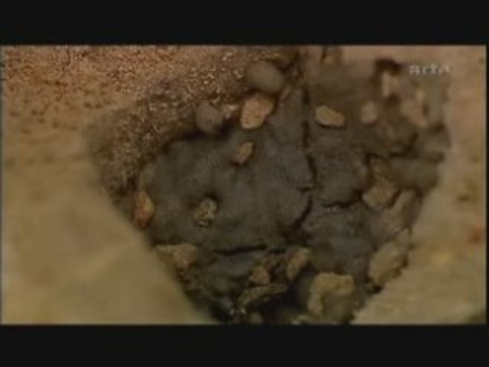 La Fabuleuse Histoire des Excrements.8